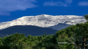 طقس لبنان.. تقلبات جوية حادة ترفع درجات الحرارة وتغطي السماء بضباب كثيف